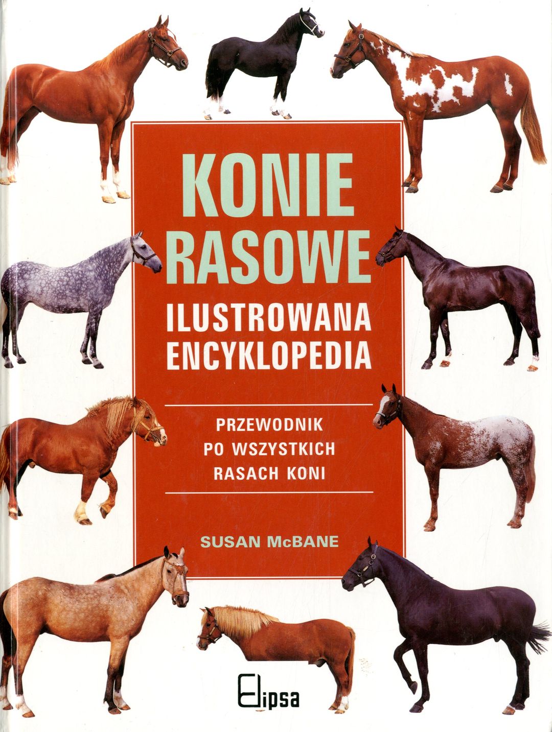 Невзоров Лошади Энциклопедия Книга Купить В Москве